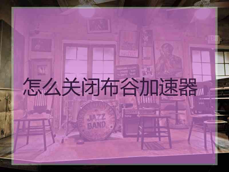 怎么关闭布谷加速器