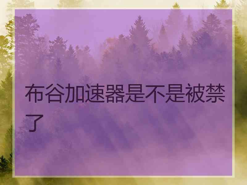 布谷加速器是不是被禁了