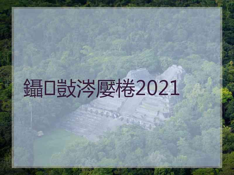 鑷敱涔嬮棬2021