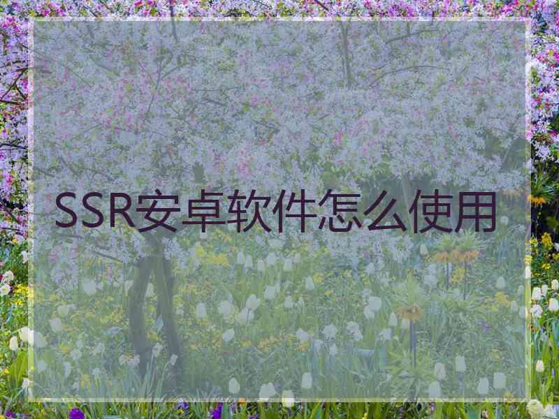 SSR安卓软件怎么使用