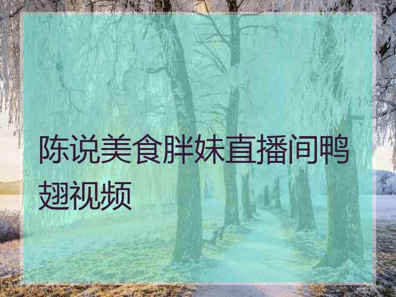 陈说美食胖妹直播间鸭翅视频