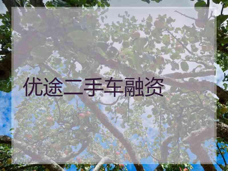 优途二手车融资
