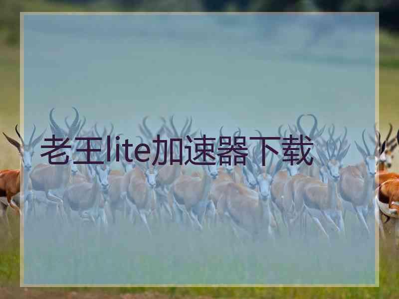 老王lite加速器下载