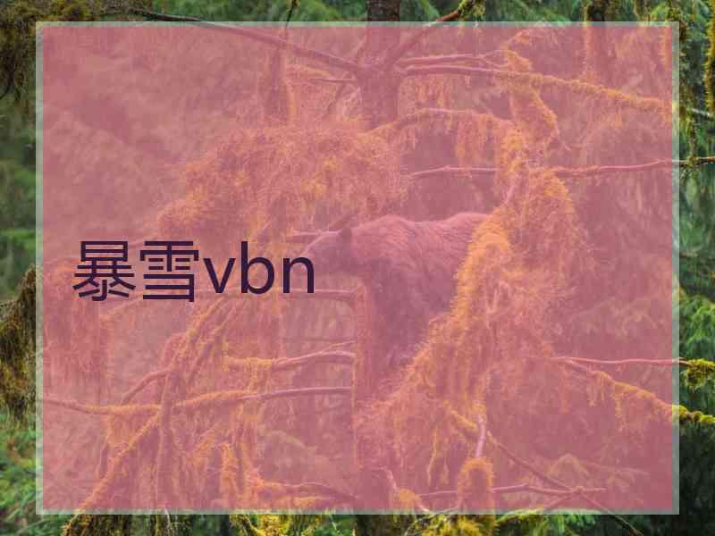 暴雪vbn