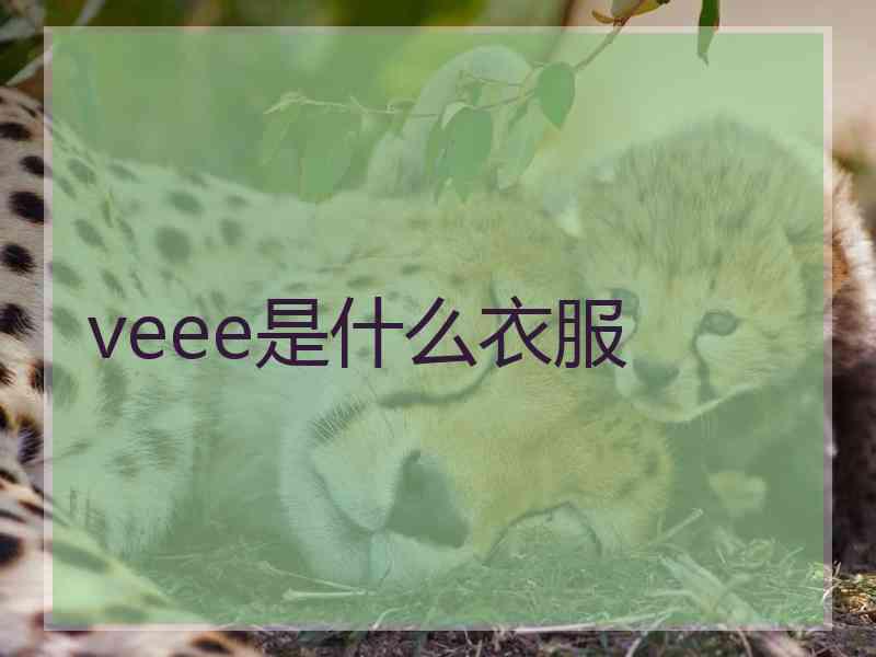 veee是什么衣服