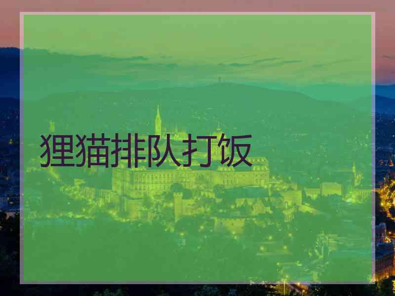 狸猫排队打饭