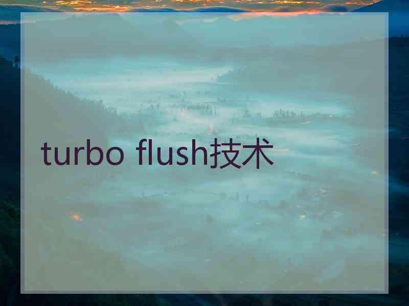 turbo flush技术