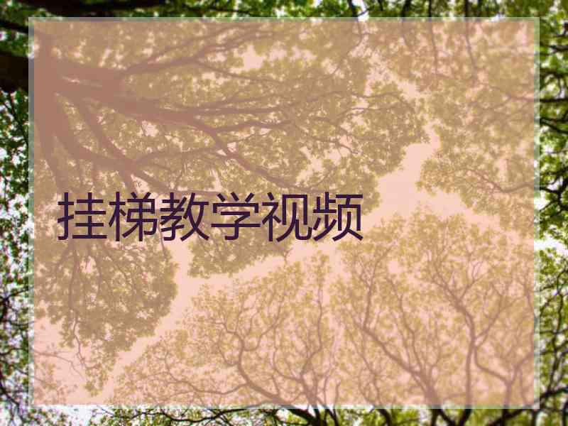 挂梯教学视频