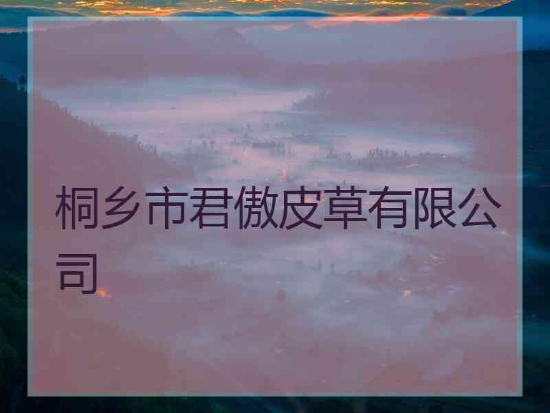 桐乡市君傲皮草有限公司