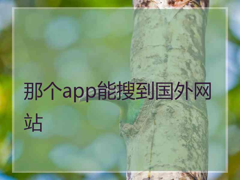 那个app能搜到国外网站
