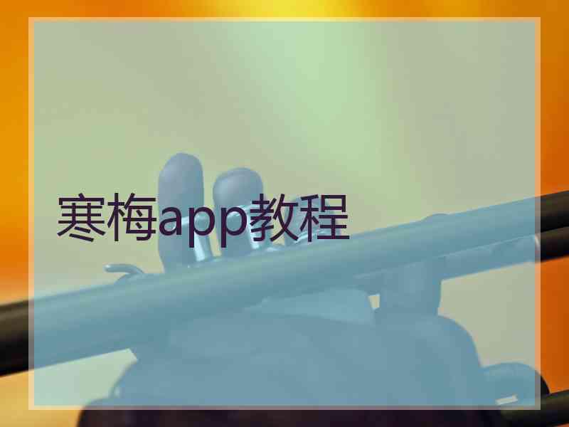 寒梅app教程