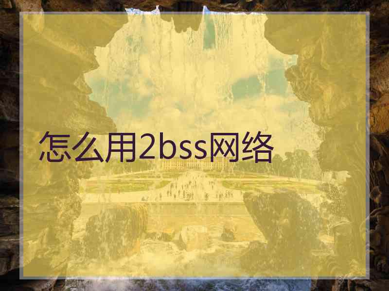 怎么用2bss网络