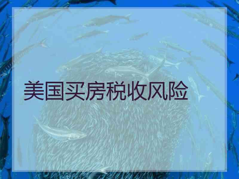 美国买房税收风险