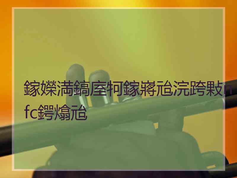 鎵嬫満鎬庢牱鎵嶈兘浣跨敤nfc鍔熻兘