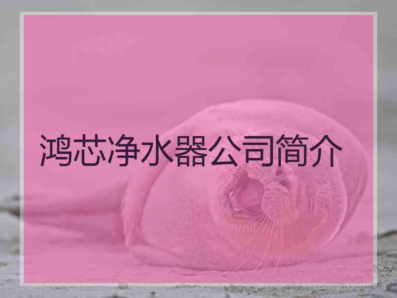 鸿芯净水器公司简介