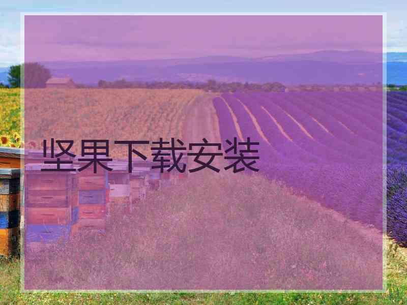 坚果下载安装