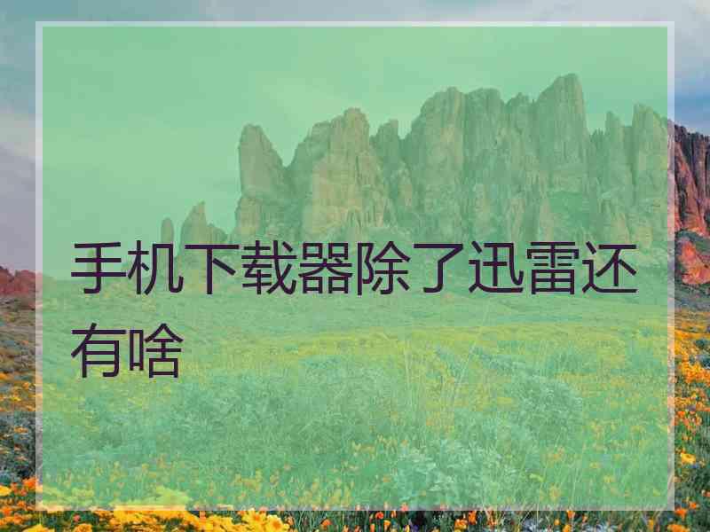 手机下载器除了迅雷还有啥