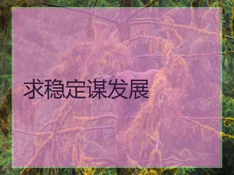 求稳定谋发展