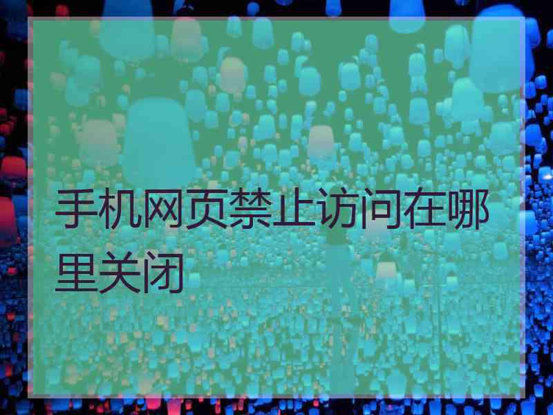 手机网页禁止访问在哪里关闭