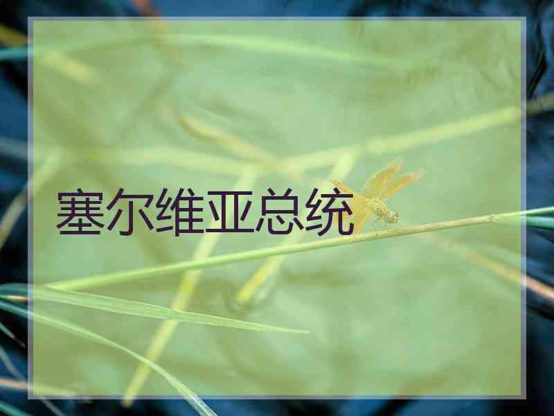 塞尔维亚总统