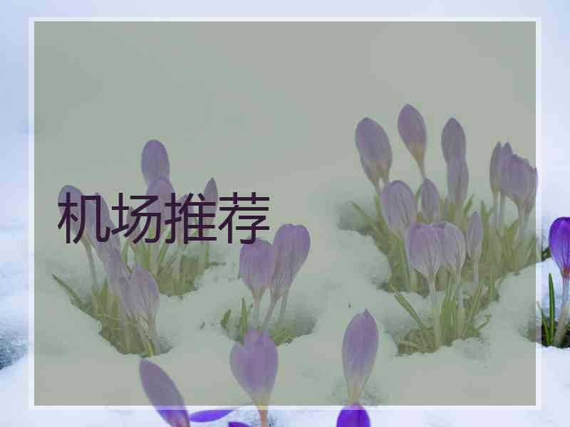 机场推荐
