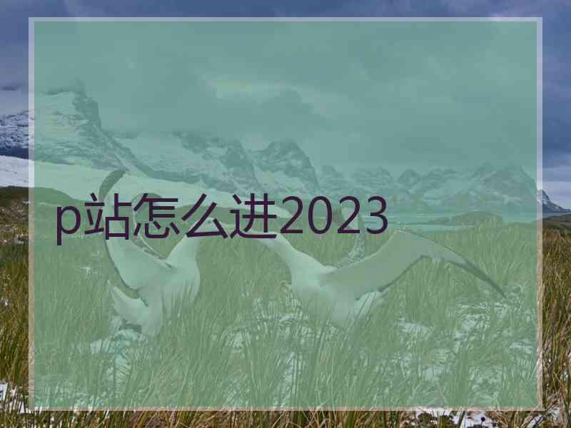 p站怎么进2023