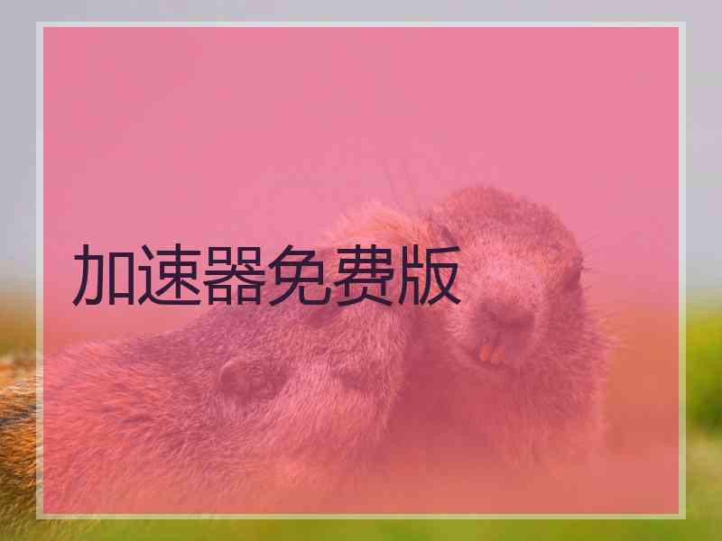 加速器免费版