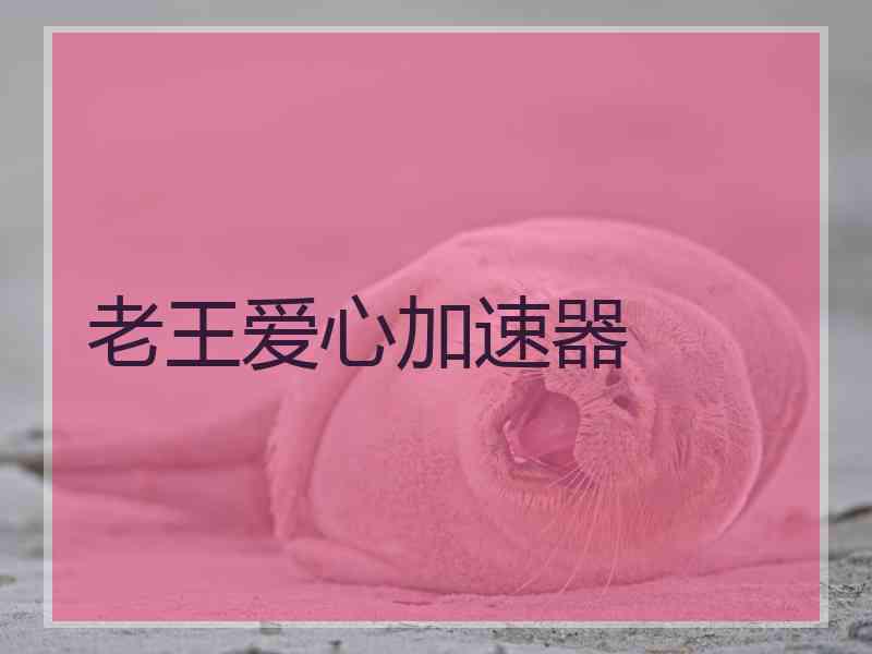 老王爱心加速器