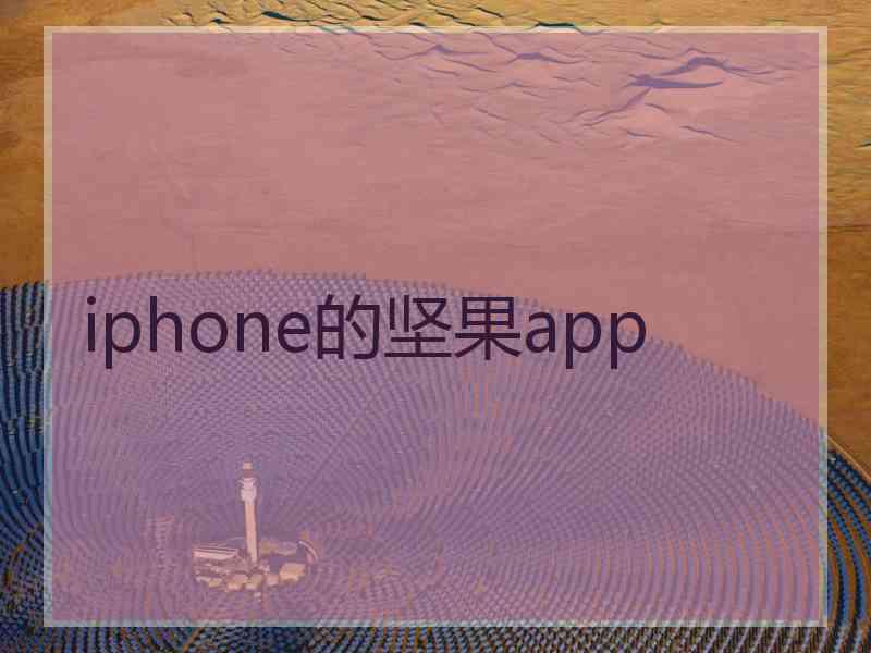 iphone的坚果app