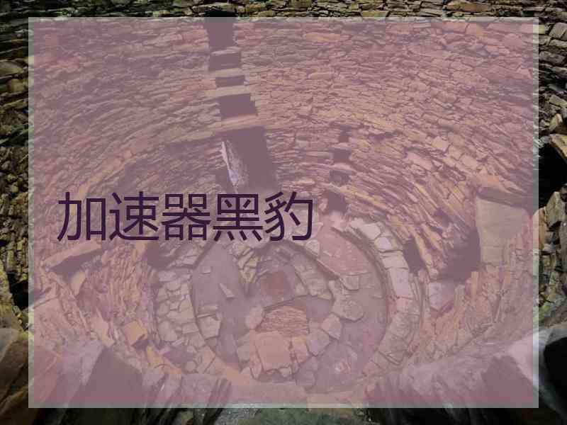 加速器黑豹