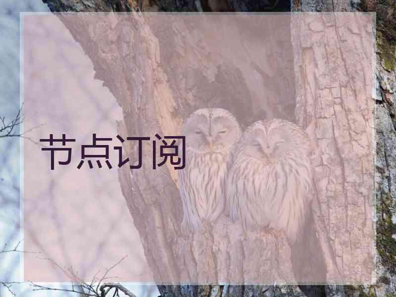 节点订阅