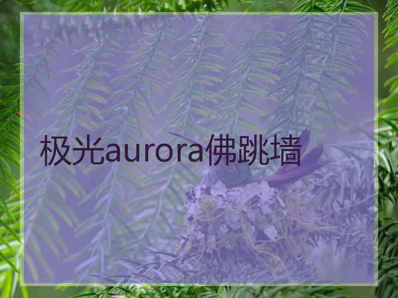 极光aurora佛跳墙