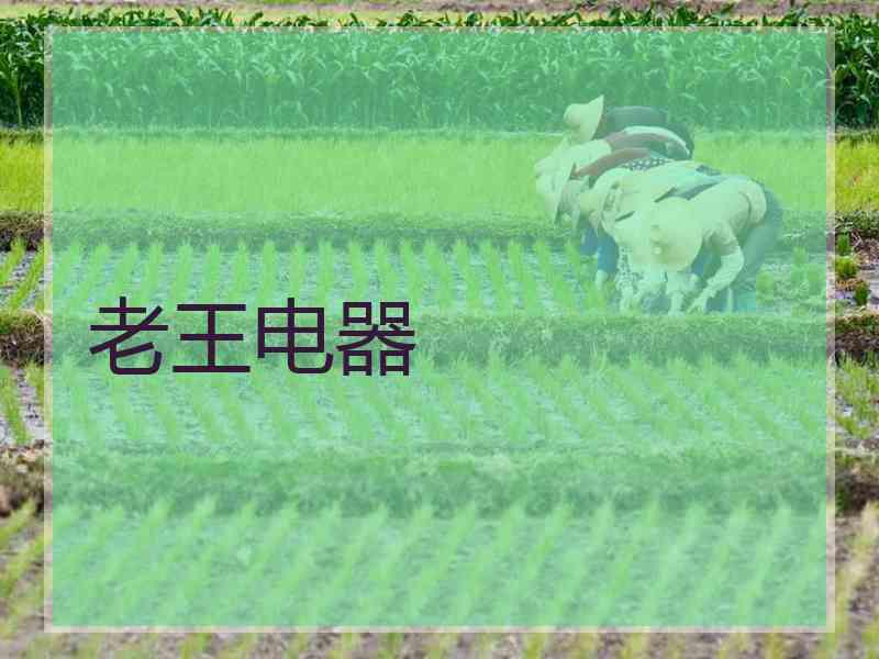 老王电器