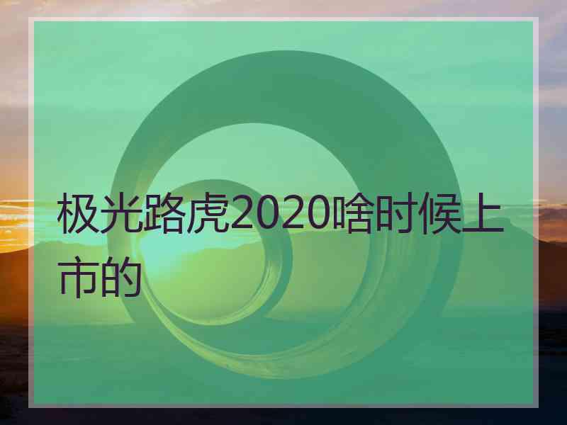 极光路虎2020啥时候上市的