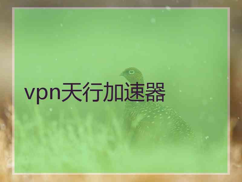 vpn天行加速器