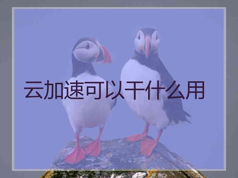 云加速可以干什么用
