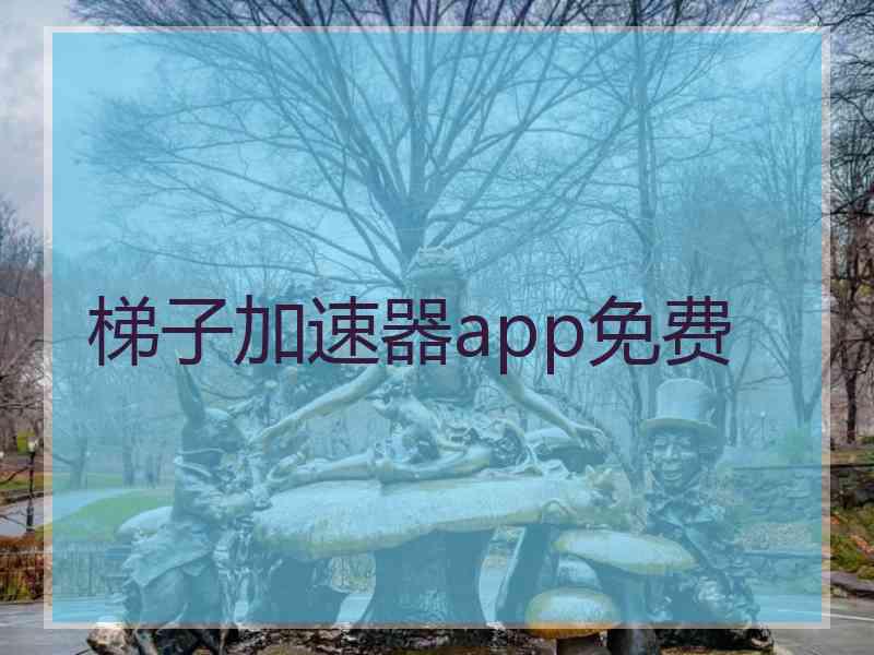 梯子加速器app免费