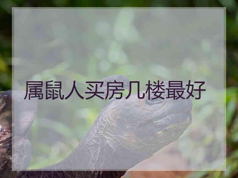 属鼠人买房几楼最好