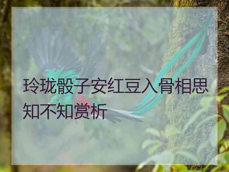 玲珑骰子安红豆入骨相思知不知赏析