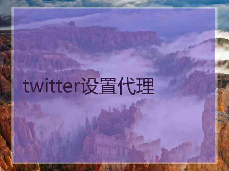 twitter设置代理