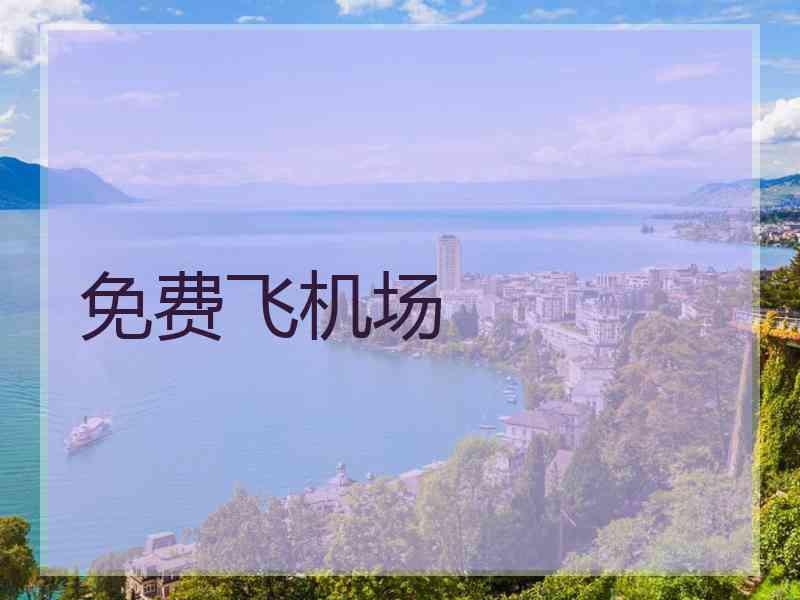 免费飞机场