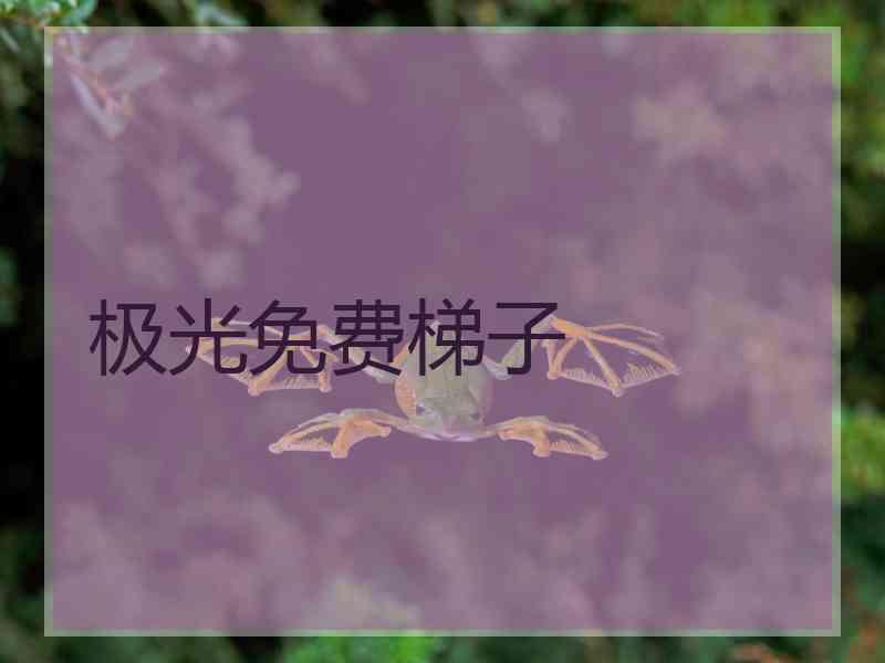 极光免费梯子
