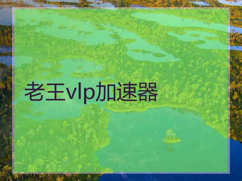 老王vlp加速器