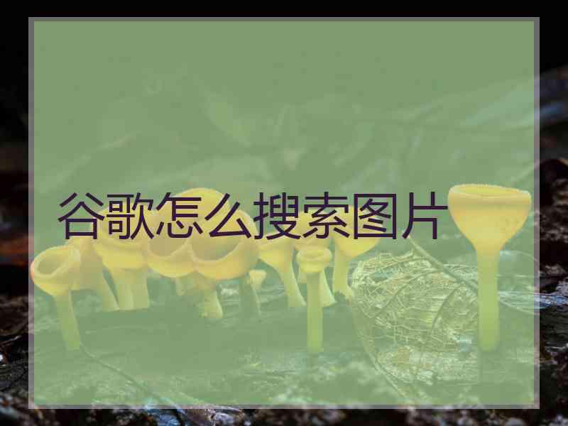 谷歌怎么搜索图片