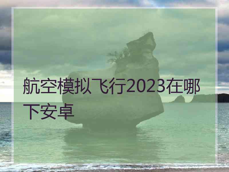 航空模拟飞行2023在哪下安卓