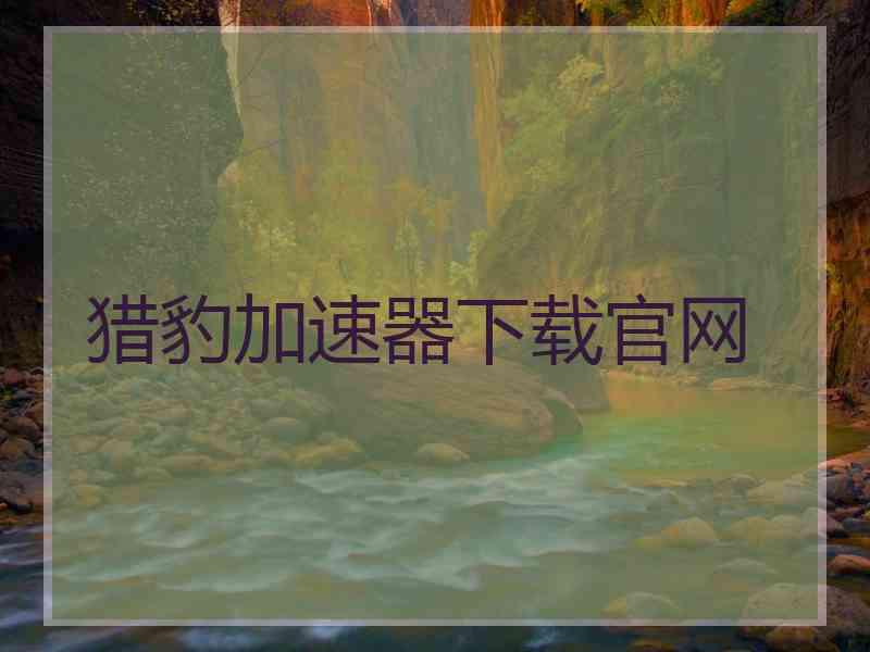 猎豹加速器下载官网