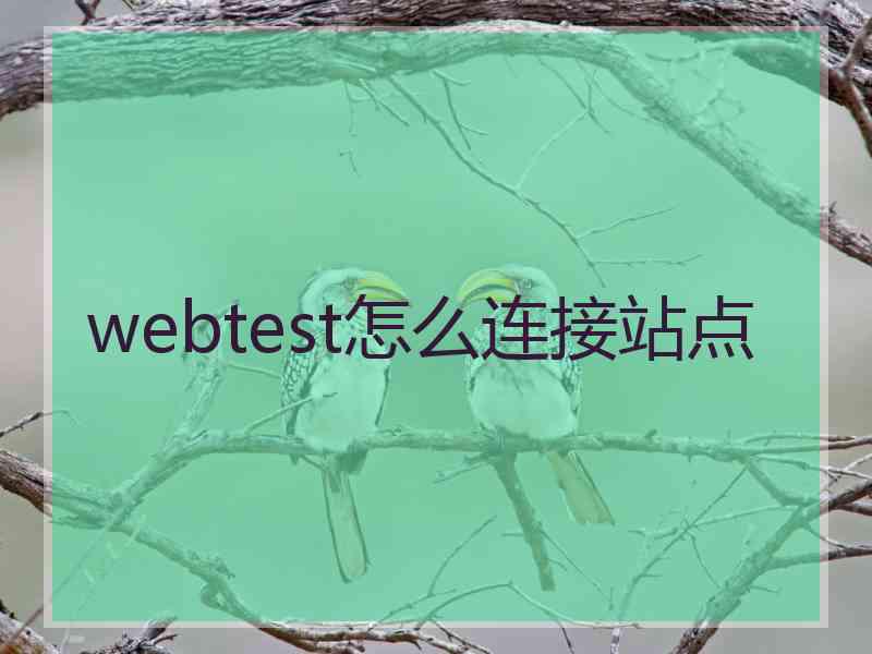 webtest怎么连接站点