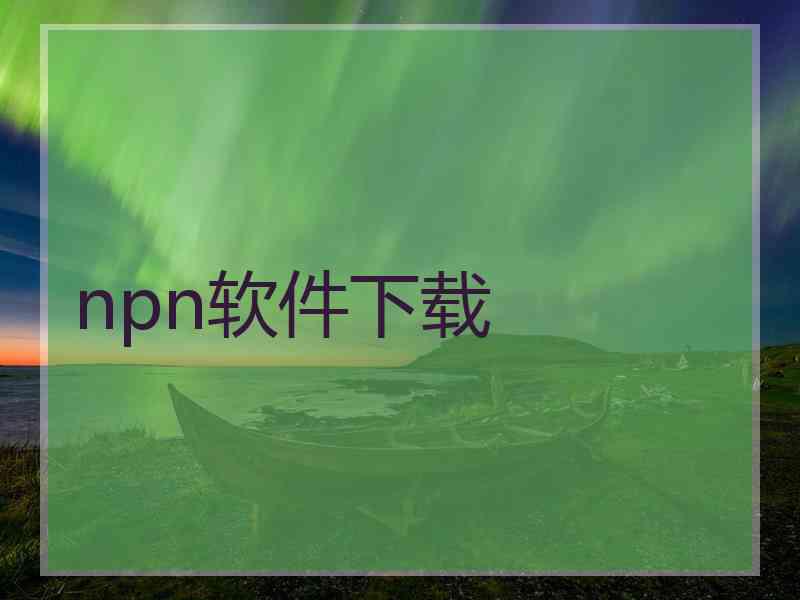npn软件下载