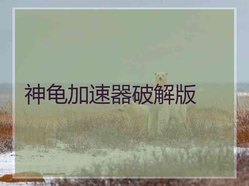 神龟加速器破解版