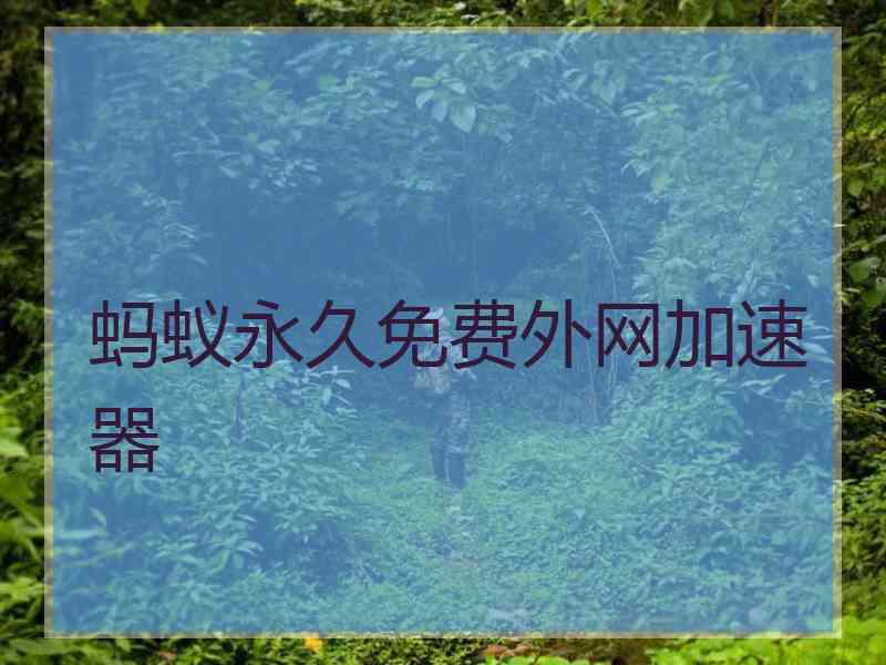 蚂蚁永久免费外网加速器